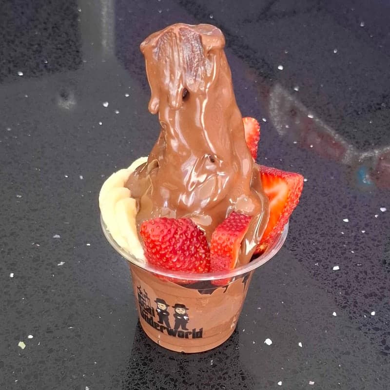Açaí Zero Açúcar 330ml